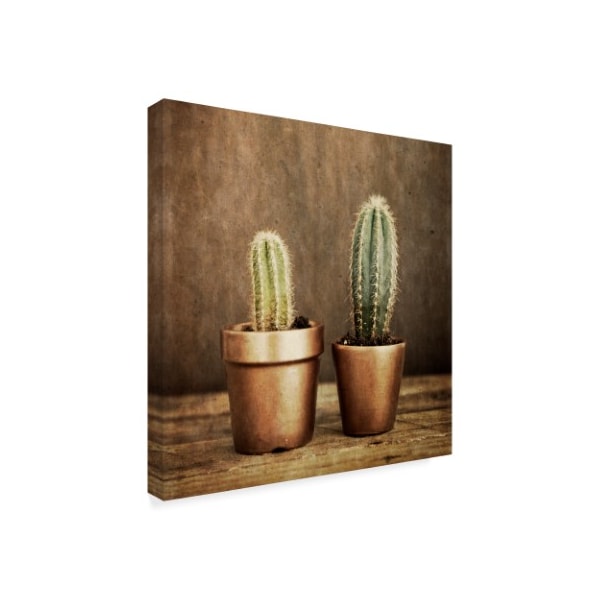 Tom Quartermaine '2 Cacti On Brown Texture' Canvas Art,14x14